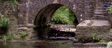 Cornish Bridge