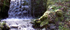 Valley Waterfall